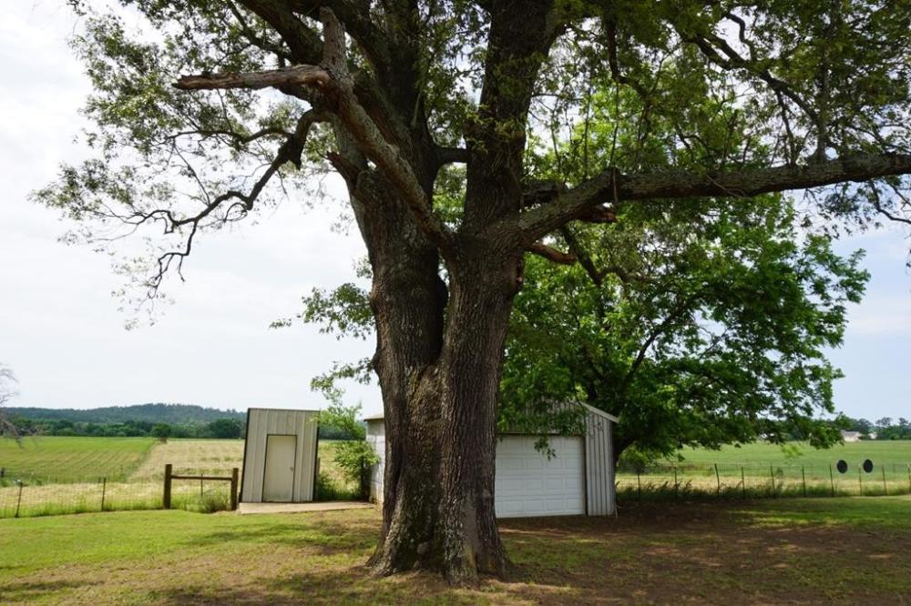 Currently Displayed Property Photo