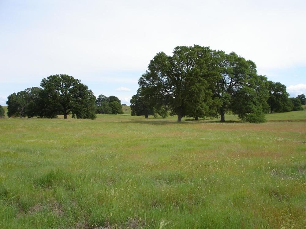 Currently Displayed Property Photo